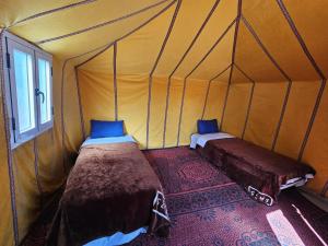 Arena Hostel Camp