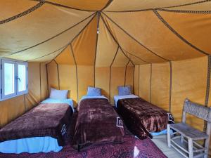 Arena Hostel Camp