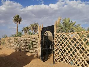 Arena Hostel Camp