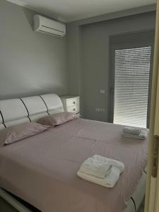 Shtepia e Ervinit
