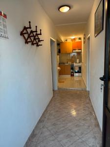Apartments Ivana i Darko