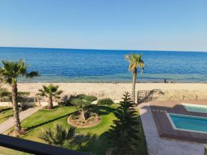 Beachfront Dream, WaveHaus