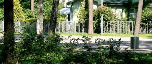 Dzintari apartments with sauna and pool