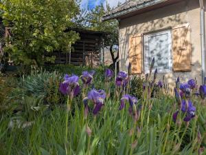 Appartement Cosy avec terrasse plein sud