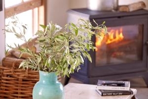 Duneberry Beach Studio