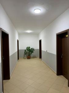 Hotel Aleksi Velipojë