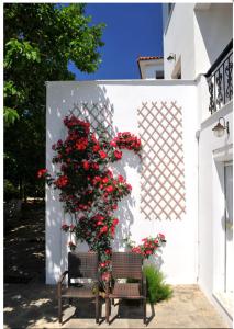 Anesis Studios & Apartments Plati Beach, Lemnos
