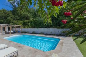 Villa dexception - La Tahitienne - Piscine
