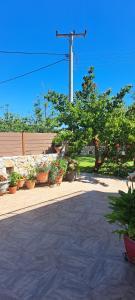 Creta Galini House