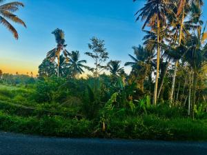 pondok ubud nia cahya
