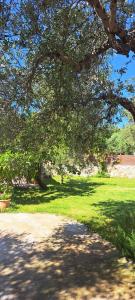 Creta Galini House