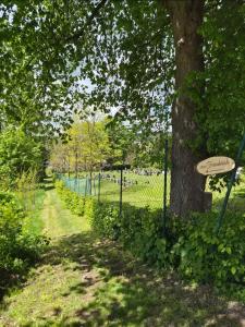 Idylissches Ferienhäusle im Thüringer Wald