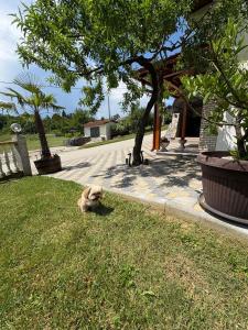 Apartmani HeManoS