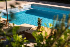 Holiday home Paradise