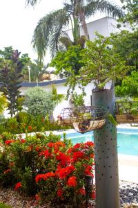 Villa La Dueña Perfect Escape