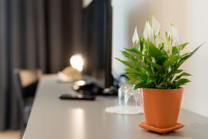 Hotel Florjančkov Hram