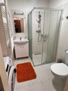 New apartment 10 minutes from downtown for 3 people