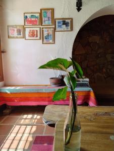 Casa Alquimia Completa