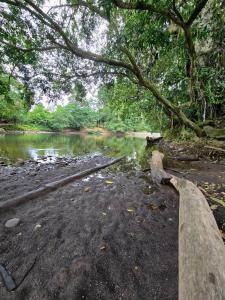 Casita Río New Riverside Jungle Cabin