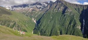 Pangi Valley Homestay