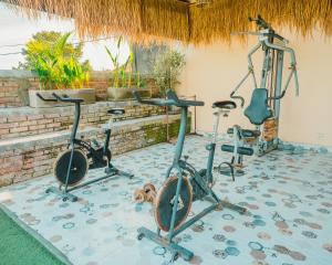 Butterfly Guesthouse Canggu