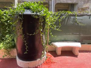 ROANA APTS 2 Bedroom Upstairs Apt Centrally located with Air Condition