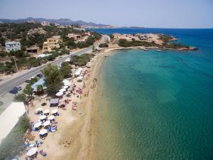 Ammoudara Beach Hotel Apartments Lasithi Greece