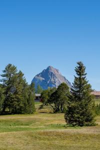 4Seasons, Morschach, Families, Mountain view