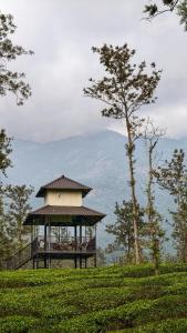 Estate IV - Saffron Suite - Tea Estate Stay