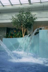 V Spa & Conference Hotel
