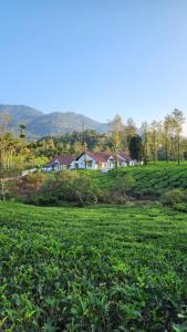 Estate IV - Saffron Suite - Tea Estate Stay