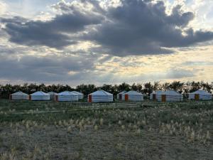 Saijrakh Gobi Tourist Camp