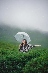 Viriparai Tea Bungalow Munnar by VOYE HOMES - Surrounded by Tea Plantations