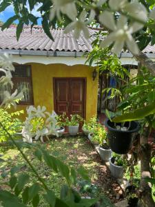 Tropical Homestay Alovera