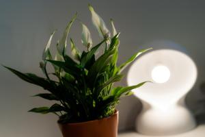 Hotel Florjančkov Hram