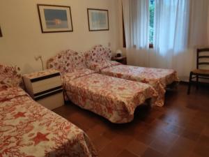Sunny garden flat near the sea and the centre