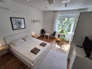 Apartment Lenka