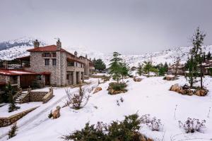 Monte Bianco Villas Parnassos Greece