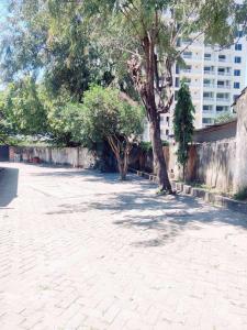 Warm studio in tudor near cbd and TUM University