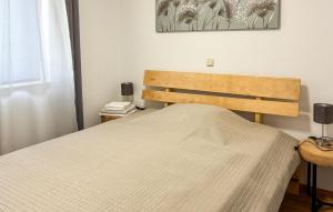 2 Bedroom Amazing Apartment In Viskovo