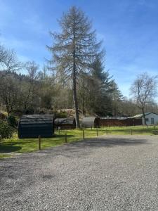 By The Way Campsite Cruachan