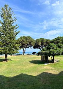 Studio tout confort au calme, vue mer, terrasse, piscine et plage