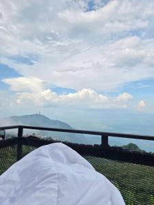 วิมานหมอก ภูทับเบิก