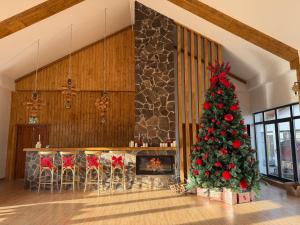 Pensiunea Maramures Guesthouse