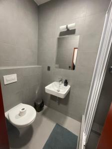 Hotel u Freuda Příbor