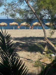 Camping Dias