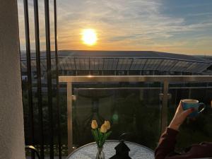 Tramonto Apartman Loznica