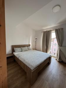 Central Loft Apartment Opava