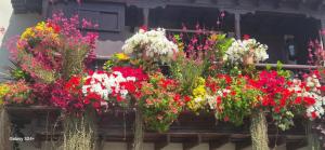 Home 2 BED ROOM & WIFI FREE LA PALMA CITY