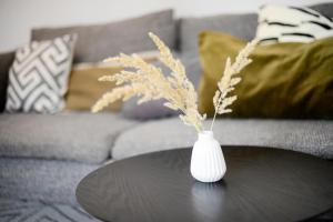 Revalia Bus Station-Airport One Bedroom Apartment